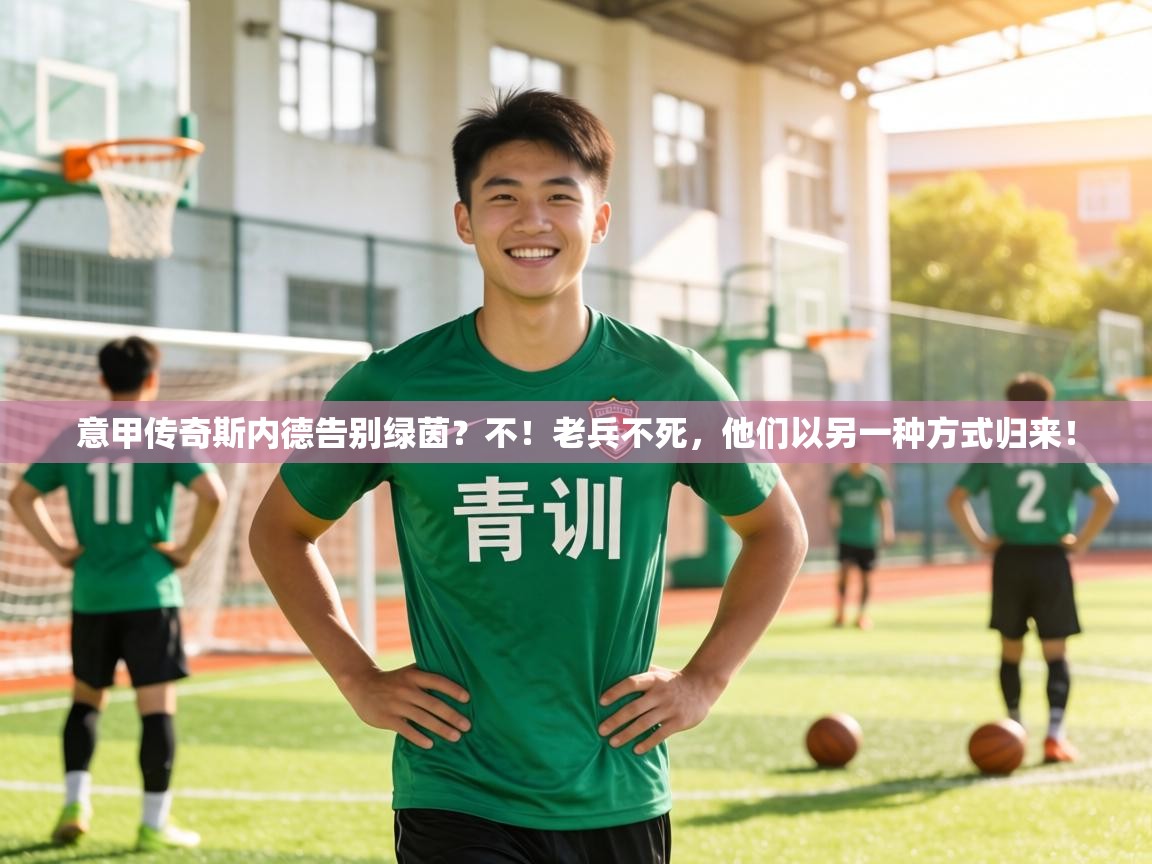 意甲传奇斯内德告别绿茵？不！老兵不死，他们以另一种方式归来！  第1张